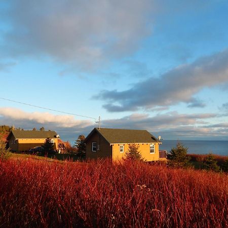 Les Chalets Brise-De-Mer Sainte-Therese-de-Gaspe 외부 사진