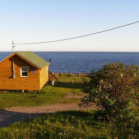 Les Chalets Brise-De-Mer Sainte-Therese-de-Gaspe 외부 사진