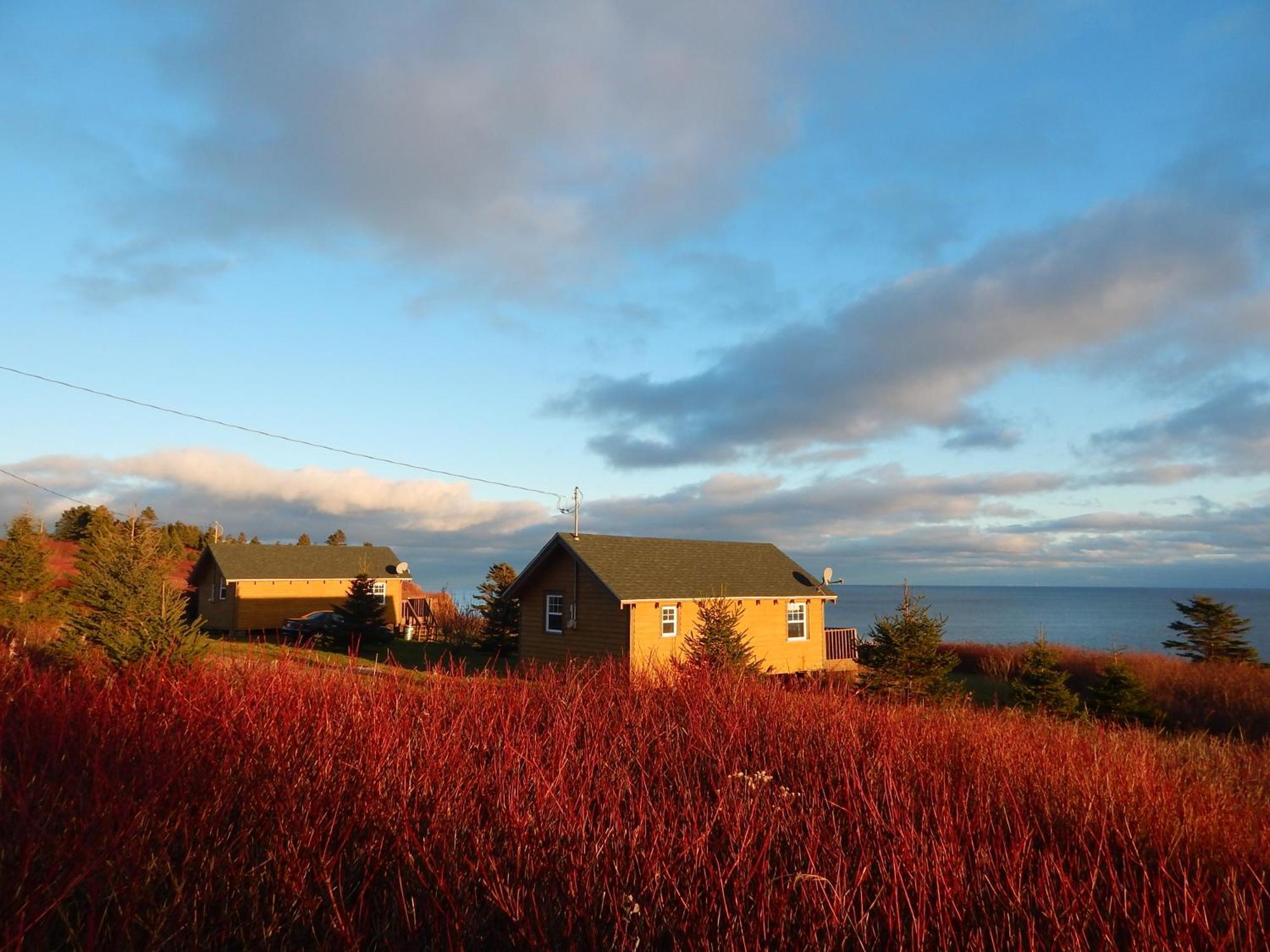 Les Chalets Brise-De-Mer Sainte-Therese-de-Gaspe 외부 사진
