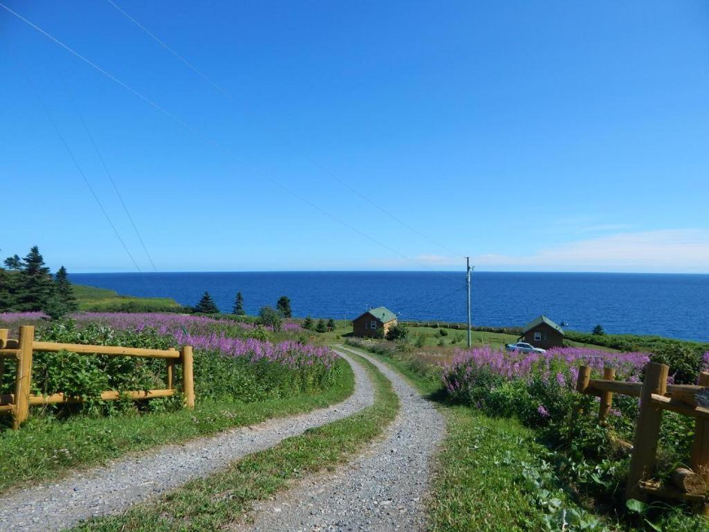 Les Chalets Brise-De-Mer Sainte-Therese-de-Gaspe 외부 사진