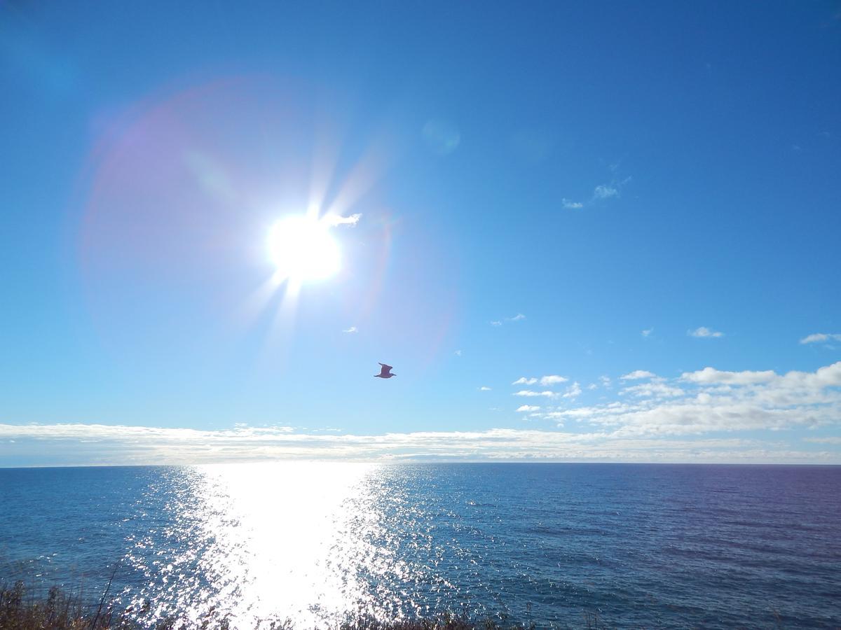 Les Chalets Brise-De-Mer Sainte-Therese-de-Gaspe 외부 사진