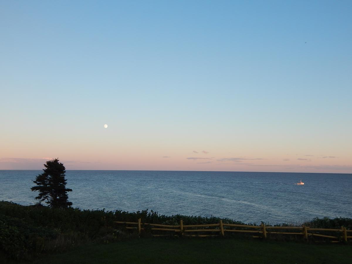 Les Chalets Brise-De-Mer Sainte-Therese-de-Gaspe 외부 사진